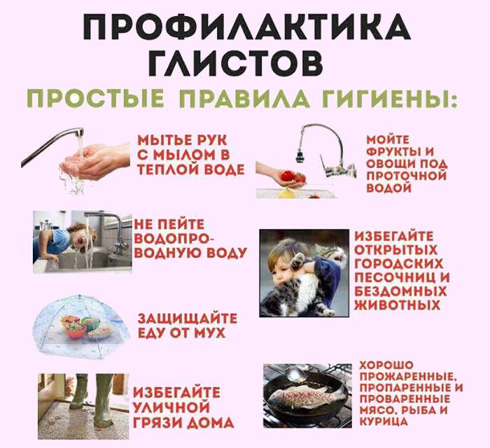 Симптомы глистов в организме человека и средства для очищения кишечника