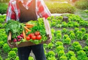8 простых для выращивания овощей