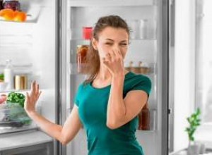 Почему в холодильнике плохо пахнет