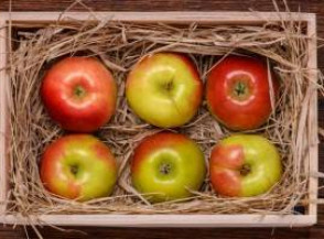 2 способа хранения свежих яблок