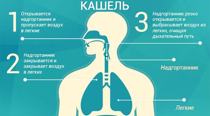 Что такое кашель