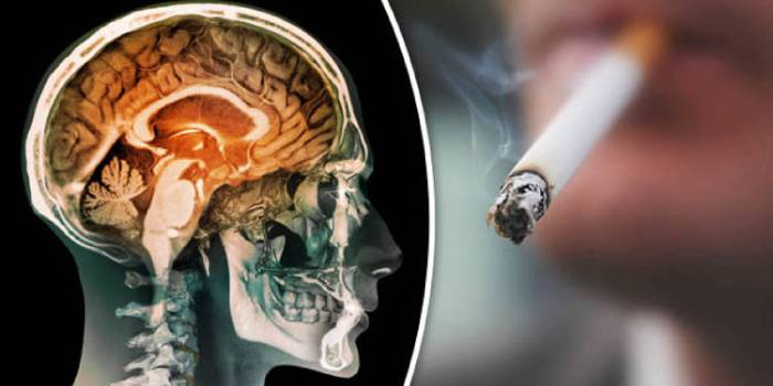 Сигарета и головной мозг человека