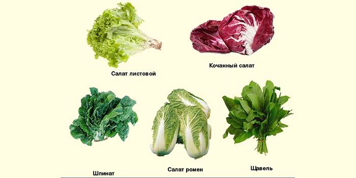 Салатно-шпинатные овощи