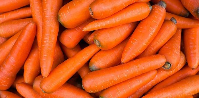 Свежая морковка