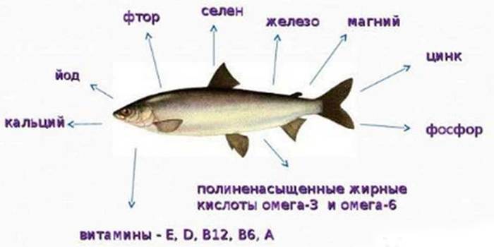 Польза рыбы