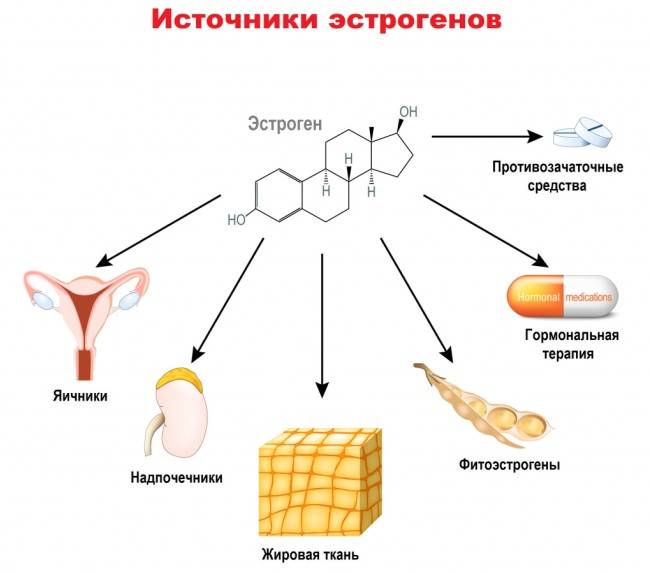 Какие гормоны сдать при менопаузе. Эстрогены. Эстроген купить. Запах мочи эстрогены. Почему эстрогены защищают женщин от атеросклероз до менопаузы.