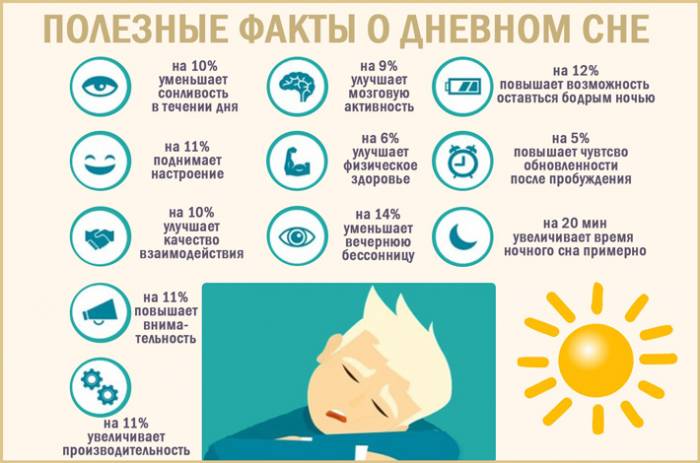 Полезные факты о дневном сне