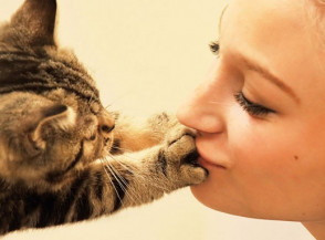 10 способов, как коты демонстрируют вам свою любовь