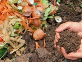 9 кухонных отходов, полезных для вашего сада