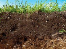 Что такое верхний слой почвы и каковы его преимущества
