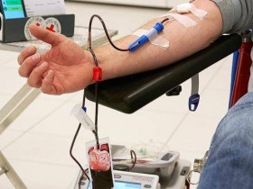Как сдать кровь во время коронавируса