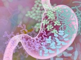 Познакомьтесь с микробиотой своего кишечника