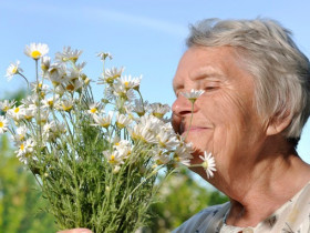 4 причины изменения запаха у пожилых людей