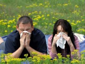 7 продуктов для борьбы с сезонной аллергией