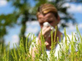 Что вам нужно знать об аллергии на траву