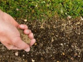 Как посадить семена травы на твердую почву и заставить их расти