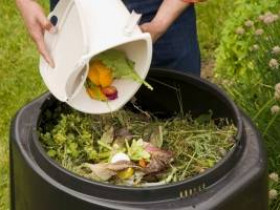 6 кухонных отходов, которые можно использовать в саду