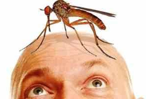 Как человек может неосознанно привлекать комаров