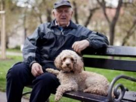 9 лучших пород собак для пожилых людей
