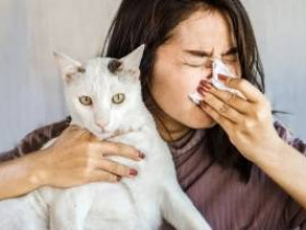 Аллергия на шерсть домашних животных
