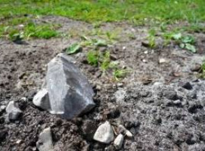 3 решения для садов с каменистой почвой
