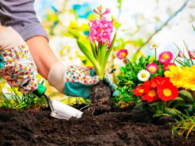 5 преимуществ садоводства для вашего здоровья