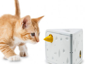 Игрушки для кошек - как выбрать по функционалу, качеству и стоимости