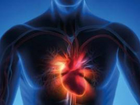 Инфаркт миокарда, причины, симптомы, профилактика