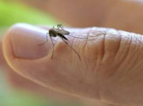 Натуральные средства от комаров