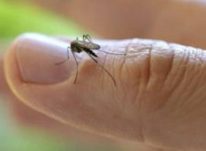 Натуральные средства от комаров