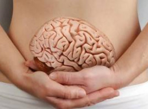 Как связаны кишечник и здоровье мозга