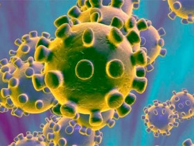 Как долго живет коронавирус на различных предметах