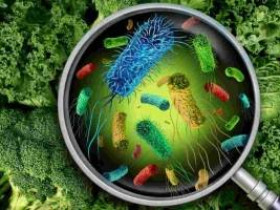 10 способов случайно распространить микробов по дому