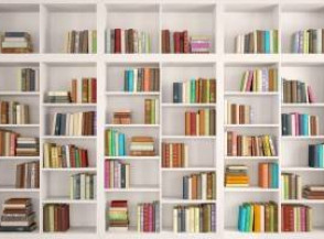 4 совета по организации книжных полок