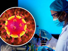 Новые доказательства лабораторного происхождения коронавируса