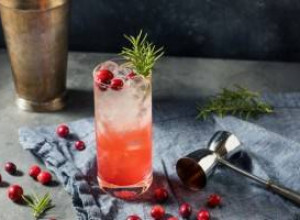 Рецепт коктейля Cranberry Gin Fizz