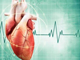 10 эффективных советов для профилактики заболеваний сердца