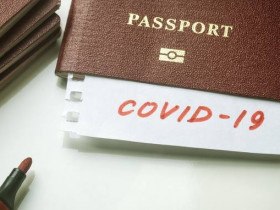 Плюсы и минусы введения «иммунологических паспортов»