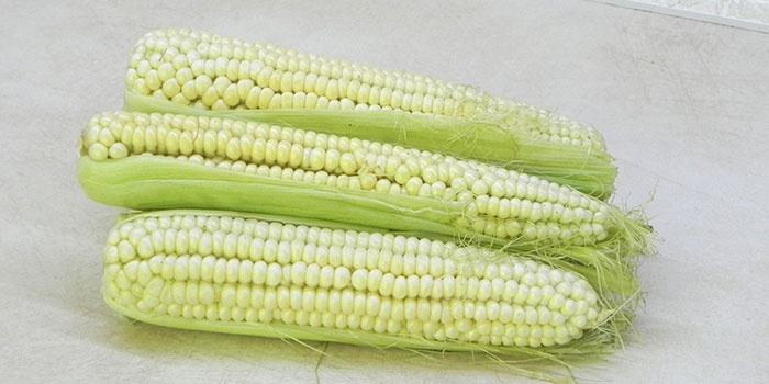 Кукуруза бело-молочного цвета
