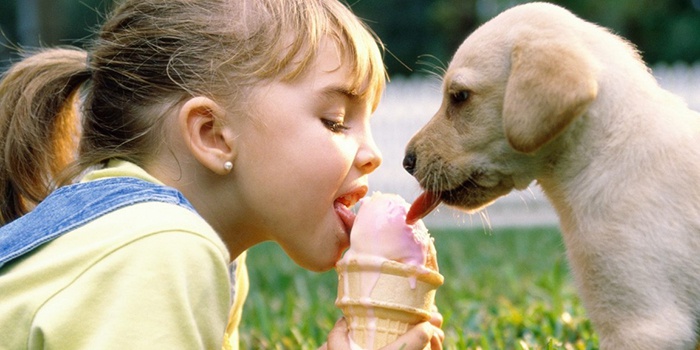 Ребенок ест мороженое с собакой, у которой глисты