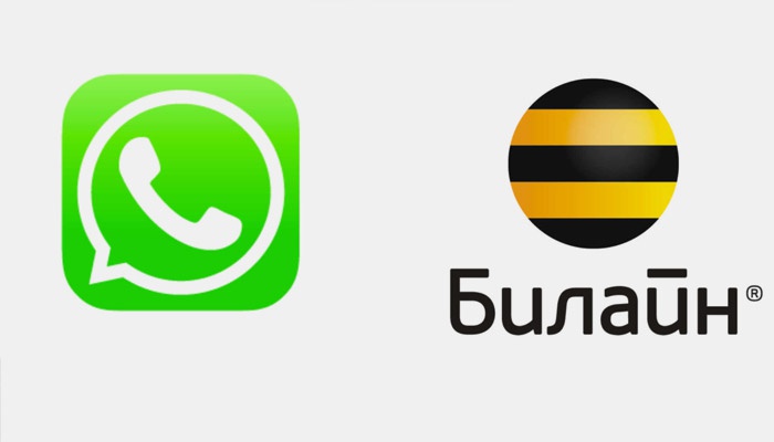 Приложение Whatsapp