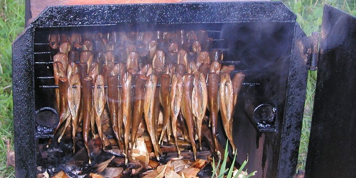 Как коптить рыбу горячего копчения окунь - Разбираем по шагам