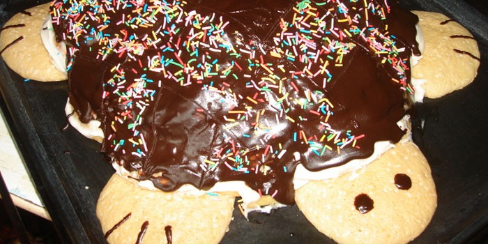 Покрытый шоколадной глазурью и разноцветной посыпкой торт Черепашка