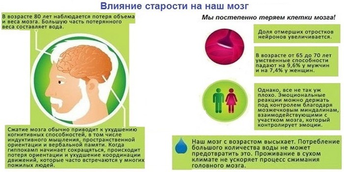 Влияние старости на головной мозг